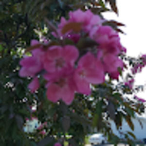 Meet your Posher, Cheryl